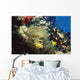 Red Sea Anemone Fish In Anemone Wall Mural