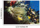 Red Sea Anemone Fish In Anemone Wall Mural