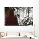 Little Red Riding Hood Looking At The Big Bad Wolf Wall Mural