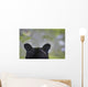 The Back Of A Grizzly Bear Head Wall Mural