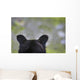 The Back Of A Grizzly Bear Head Wall Mural