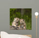 Two Canada Lynx Kittens Playing On A Log Wall Mural