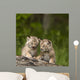 Two Canada Lynx Kittens Playing On A Log Wall Mural
