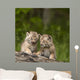 Two Canada Lynx Kittens Playing On A Log Wall Mural