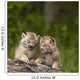 Two Canada Lynx Kittens Playing On A Log Wall Mural