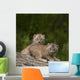Two Canada Lynx Kittens Playing On A Log Wall Mural