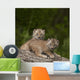 Two Canada Lynx Kittens Playing On A Log Wall Mural