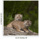 Two Canada Lynx Kittens Playing On A Log Wall Mural