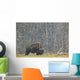 A Buffalo In Lamar Valley In Yellowstone National Park Wall Mural
