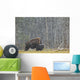 A Buffalo In Lamar Valley In Yellowstone National Park Wall Mural