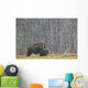A Buffalo In Lamar Valley In Yellowstone National Park Wall Mural