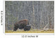 A Buffalo In Lamar Valley In Yellowstone National Park Wall Mural