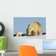 Mother Polar Bear Playing With Her Cub In Wapusk National Park Wall Mural