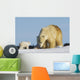 Mother Polar Bear Playing With Her Cub In Wapusk National Park Wall Mural