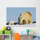 Mother Polar Bear Playing With Her Cub In Wapusk National Park Wall Mural