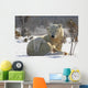 Mother Polar Bear Playing With Her Cub Wall Mural