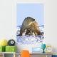 A Mother Polar Bear With Her Cub In Wapusk National Park Wall Mural