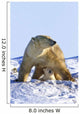 A Mother Polar Bear With Her Cub In Wapusk National Park Wall Mural