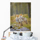 Two Coyotes Wall Mural