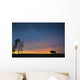 Buffalo At Sunset In Elk Island National Park Wall Mural