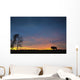 Buffalo At Sunset In Elk Island National Park Wall Mural