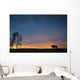 Buffalo At Sunset In Elk Island National Park Wall Mural