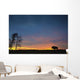Buffalo At Sunset In Elk Island National Park Wall Mural