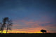 Buffalo At Sunset In Elk Island National Park Wall Mural