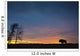 Buffalo At Sunset In Elk Island National Park Wall Mural