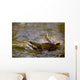 Pink Salmon Struggling To Return Wall Mural