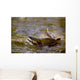 Pink Salmon Struggling To Return Wall Mural