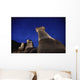 Hoodoos And Star Trails In The Sky Wall Mural