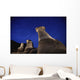 Hoodoos And Star Trails In The Sky Wall Mural