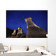 Hoodoos And Star Trails In The Sky Wall Mural