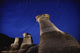 Hoodoos And Star Trails In The Sky Wall Mural