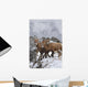 Mountain Sheep Family Wall Mural