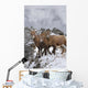 Mountain Sheep Family Wall Mural