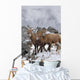 Mountain Sheep Family Wall Mural