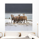 Mountain Sheep Family Wall Mural