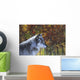 Wolf Wall Mural