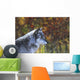Wolf Wall Mural