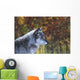 Wolf Wall Mural