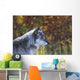 Wolf Wall Mural