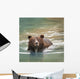 Grizzly Bear Swimming Wall Mural