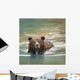Grizzly Bear Swimming Wall Mural