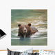 Grizzly Bear Swimming Wall Mural