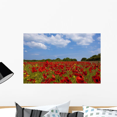 Field Full Red Flowers Wall Mural shown on a wall