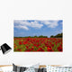 A Field Full Of Red Flowers Wall Mural