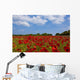 A Field Full Of Red Flowers Wall Mural