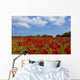 A Field Full Of Red Flowers Wall Mural